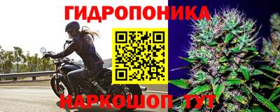 метадон Обь