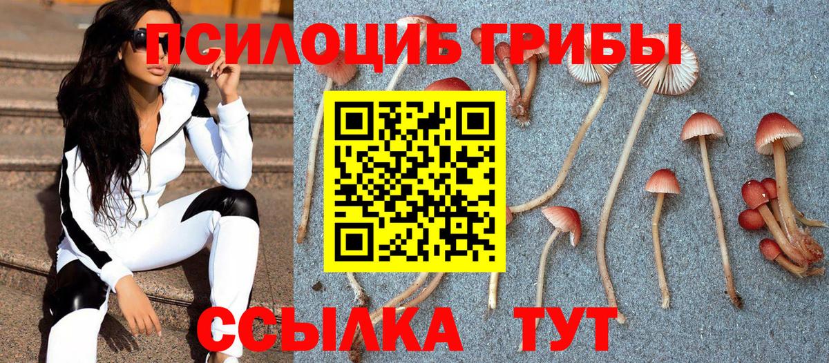 Галлюциногенные грибы мухоморы  Псилоцибиновые грибы GOLDEN TEACHER  Санкт-Петербург  Вход с VPN 