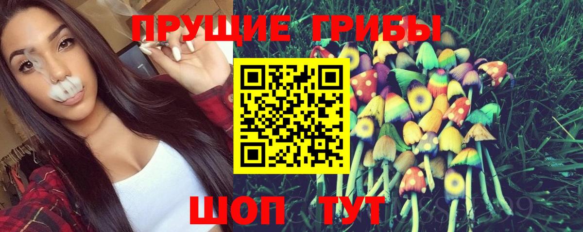 Псилоцибиновые грибы мухоморы Санкт-Петербург